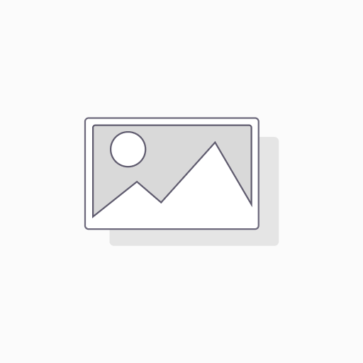 BIAS TRANSFER ROLLER